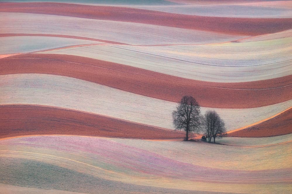 Serene Rolling Fields by Ales Komovec — canvas wall art