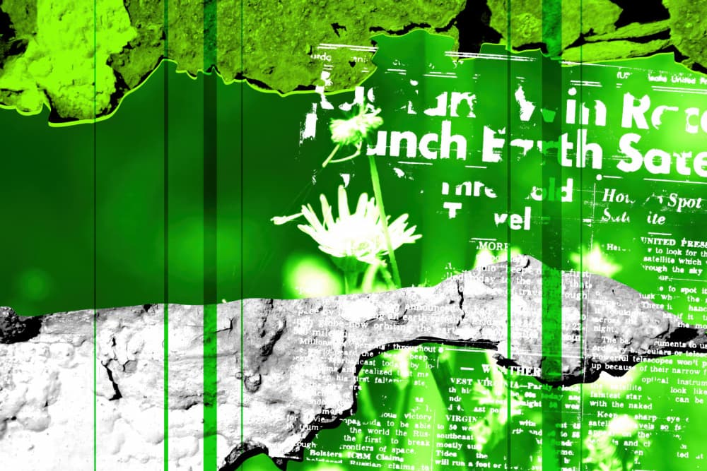 Green News Bloom by Rafal Kulik — canvas wall art