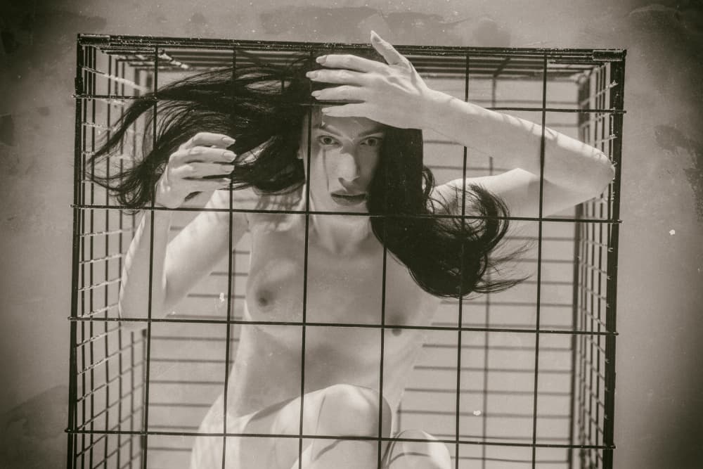 The Cage by Zanna — canvas wall art