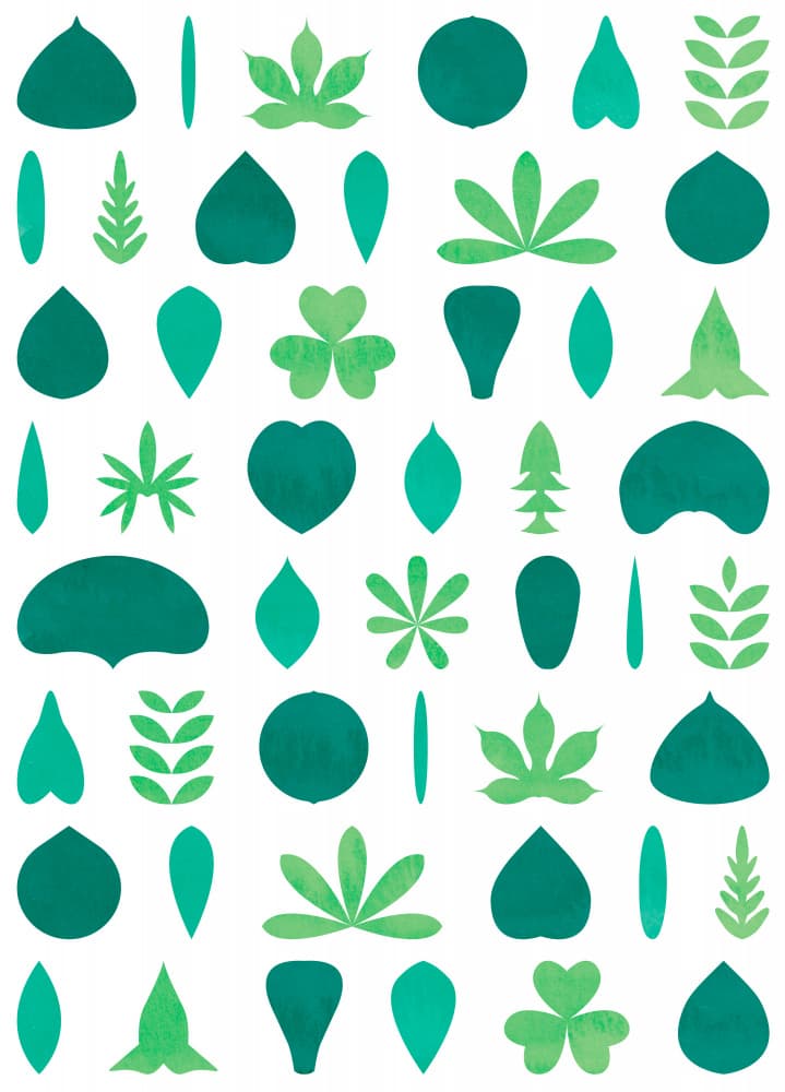 Diverse Green Leaves by kathrinmay — canvas wall art