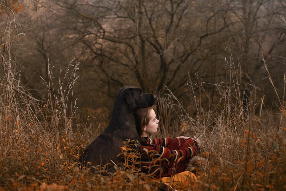 Woman Dog Autumn Field by Małgorzata Masarz — canvas wall art