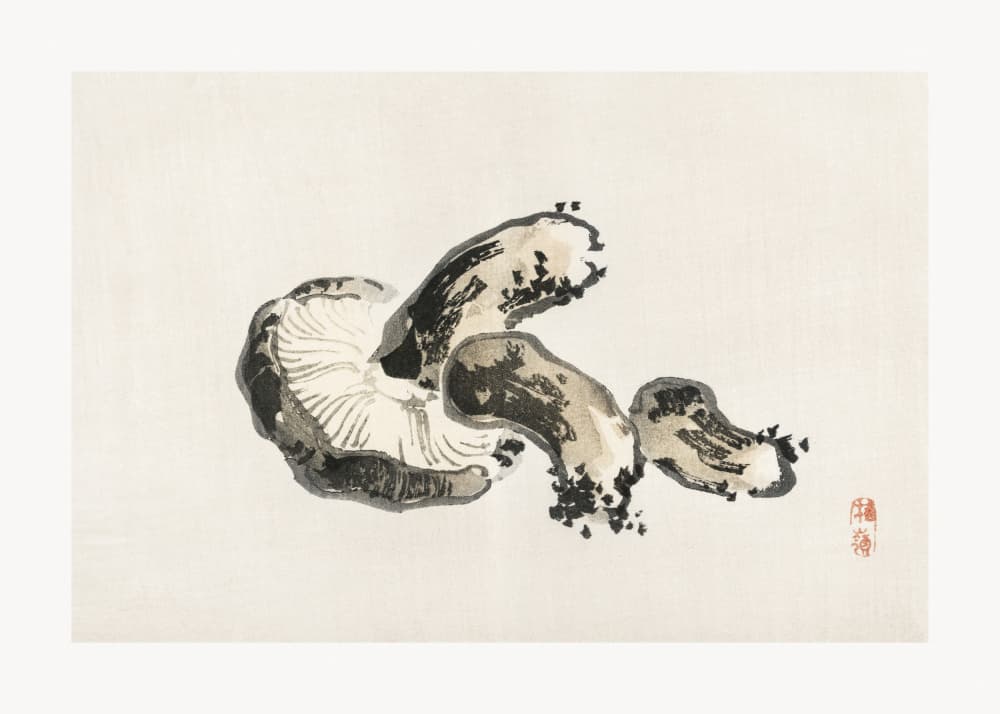 Shitake Mushroom by Kōno Bairei — canvas wall art