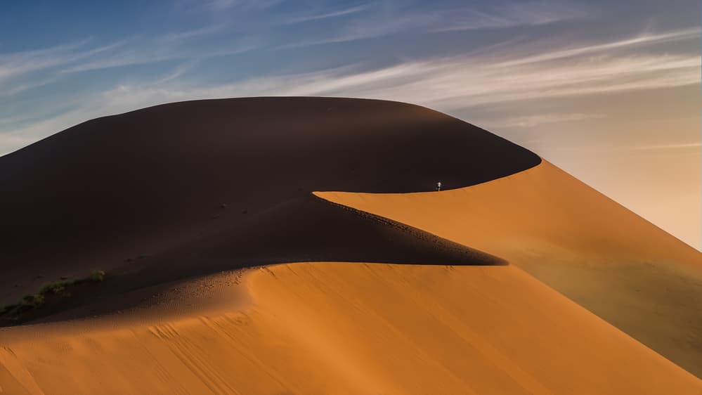 Solitary Desert Walk by Michael Jurek — canvas wall art