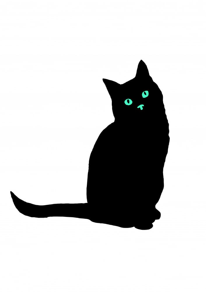 Black Cat Green Eyes by Nicholas — canvas wall art