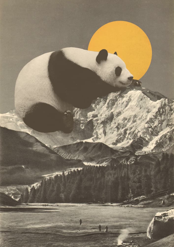 Giant Panda Mountain Slumber by Florent Bodart — canvas wall art