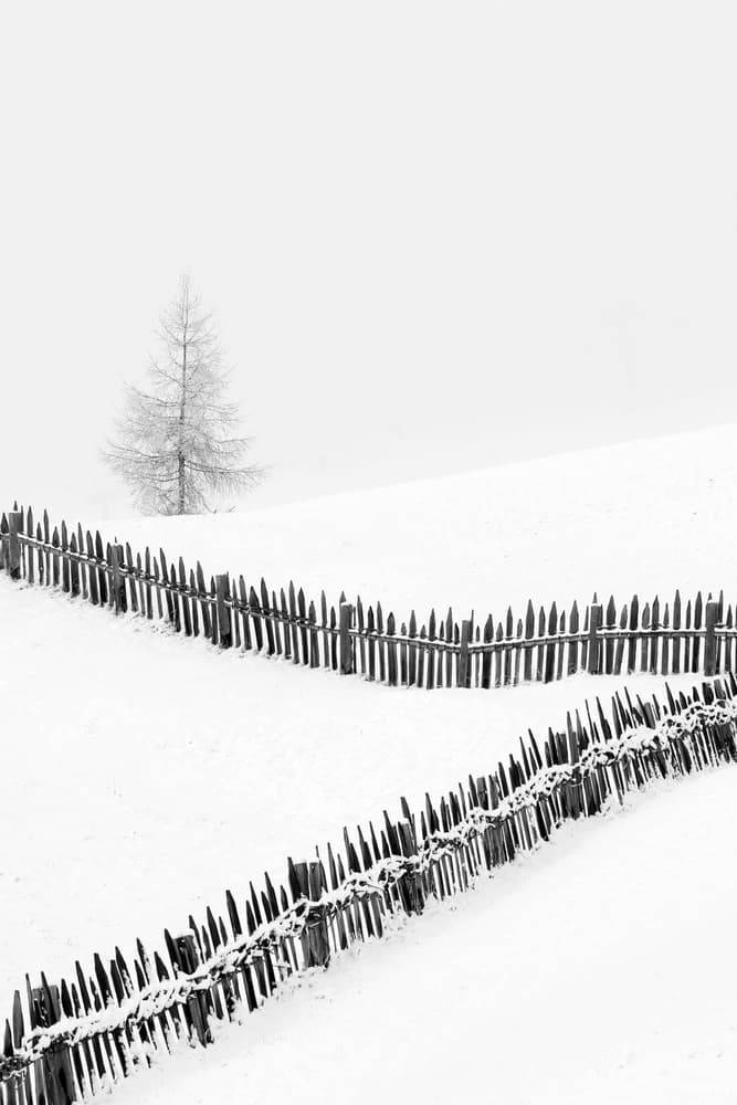 Minimalist Winter Fences by Vito Miribung — canvas wall art
