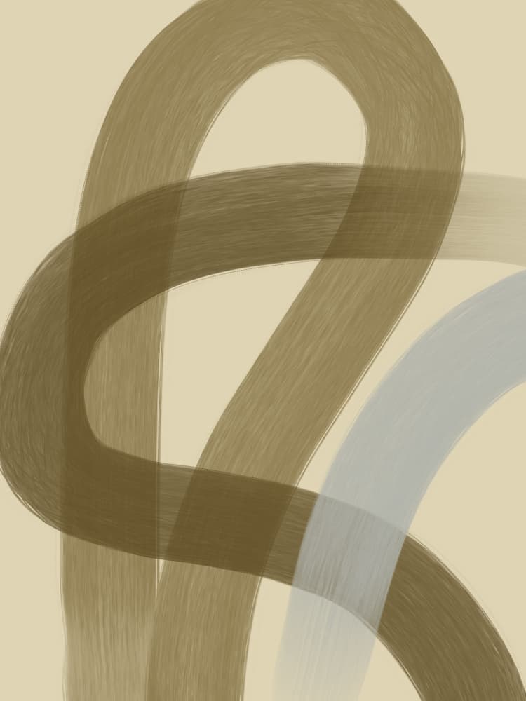 Abstract Flowing Curves by Studio Palette — canvas wall art