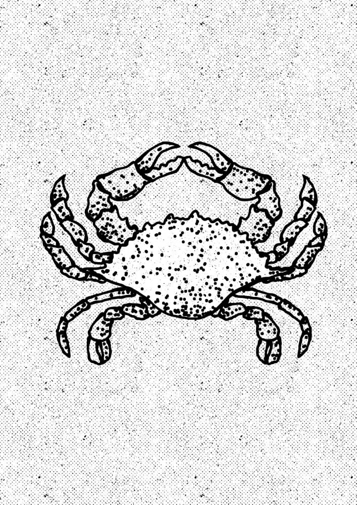 Black And White Crab