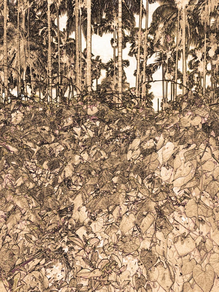 Tropical Palm Forest by Santhosh ch — canvas wall art