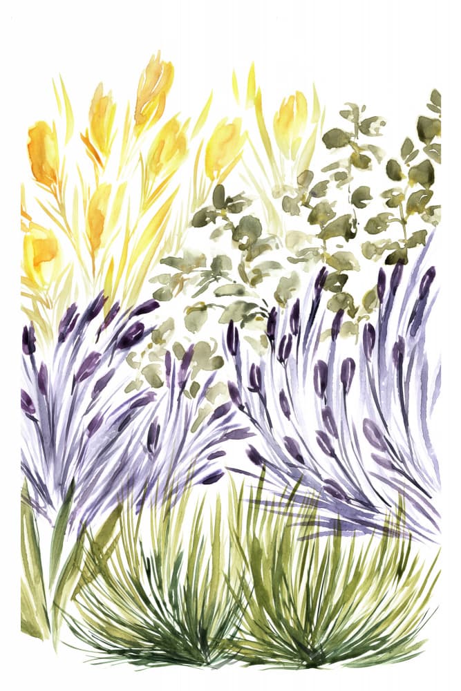 Vibrant Floral Meadow by Rosana Laiz Blursbyai — canvas wall art