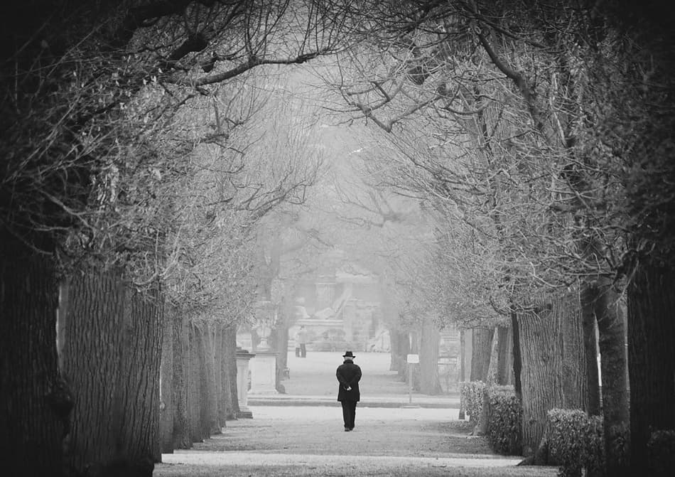 Man Walking Foggy Path by Mario Mencacci — canvas wall art