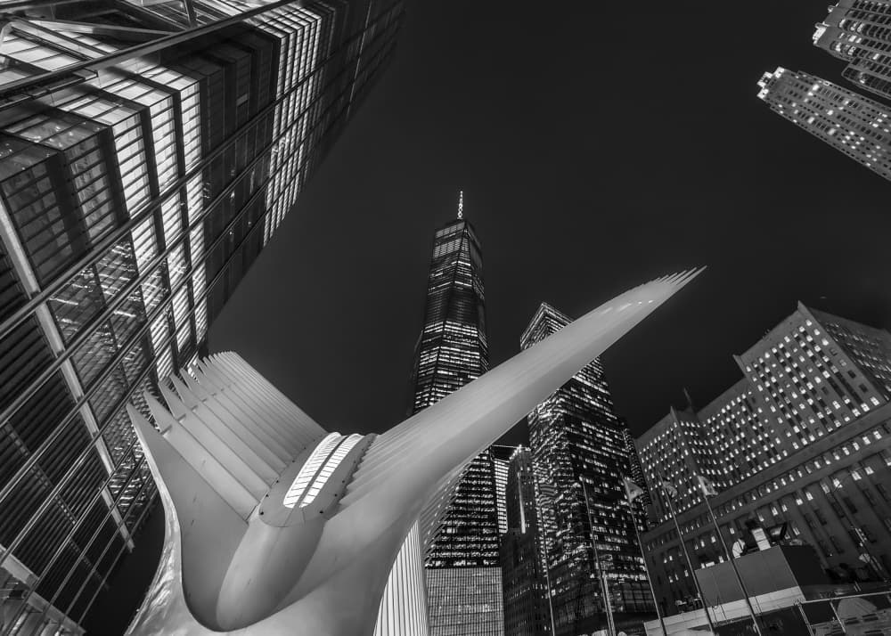 Oculus Skyscraper Night by Raymond Ren Rong Liu — canvas wall art