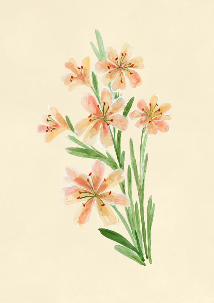 Peach Watercolor Flowers by Rosana Laiz Blursbyai — canvas wall art