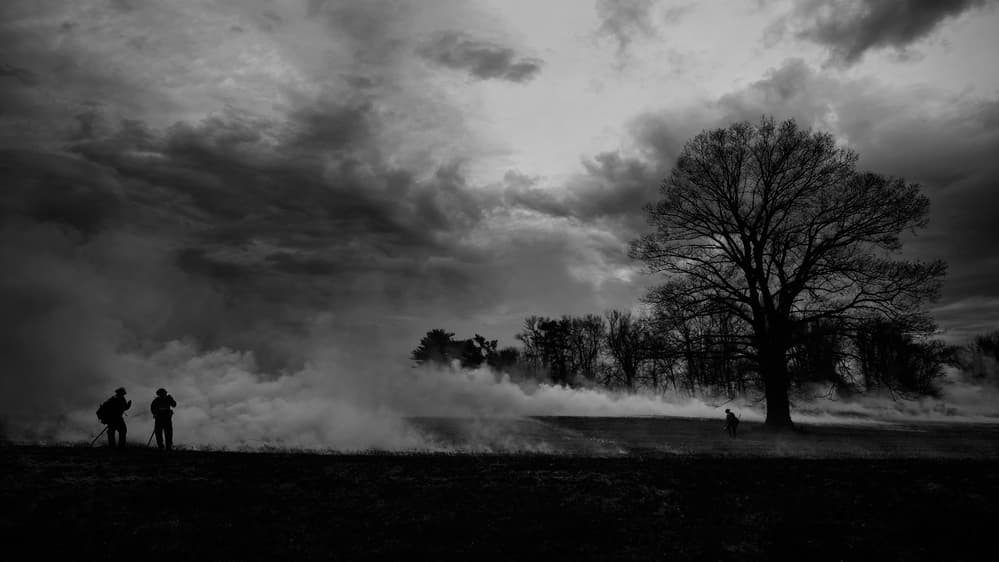 Dramatic Tree In Mist by Purple Bamboo — canvas wall art