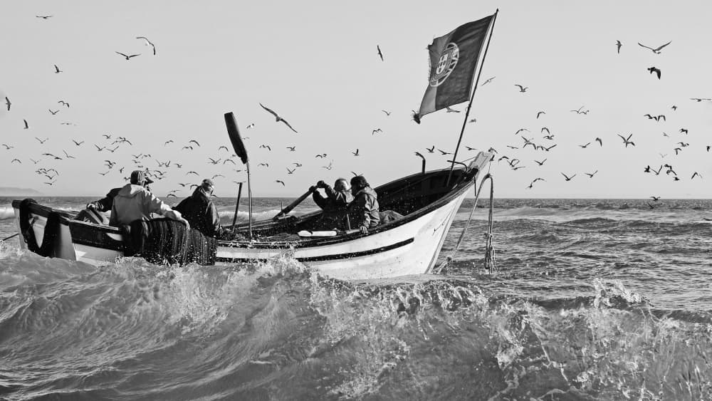 Portuguese Fishing Boat by Josefina Melo — canvas wall art