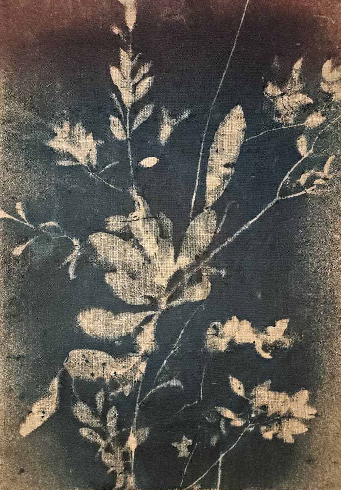 Vintage Blue Botanicals by Stefano Mazzolini — canvas wall art