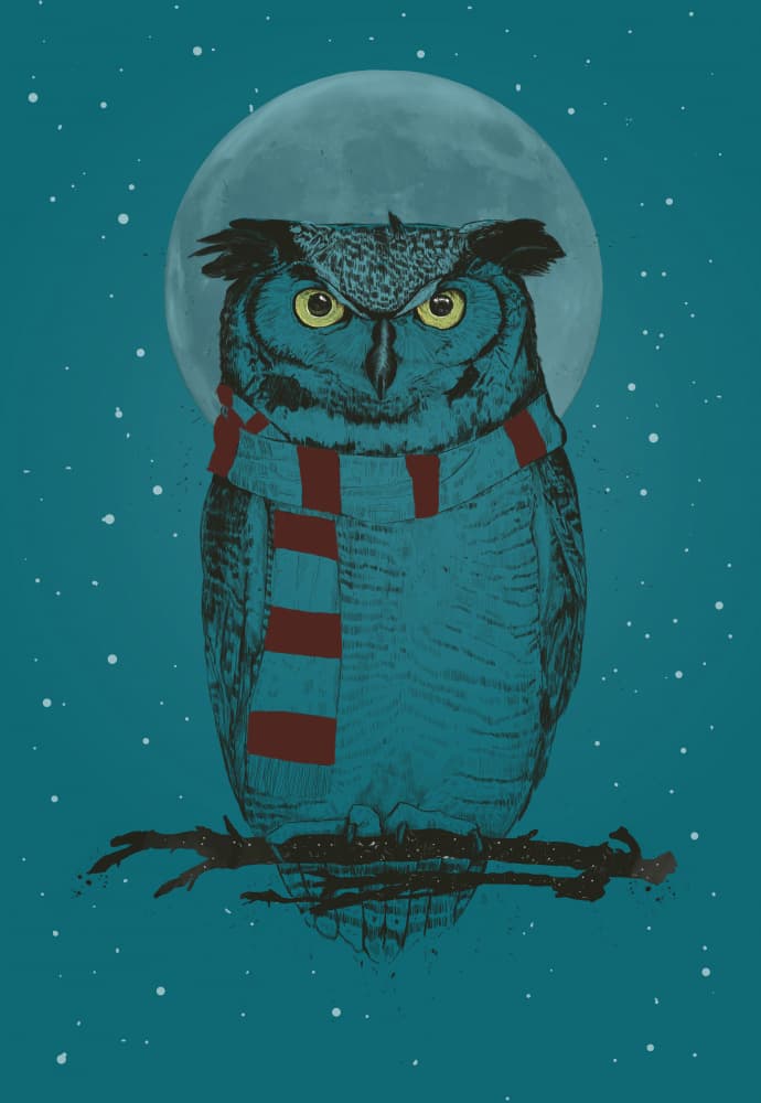 Cozy Owl Under Winter Moon by Balazs Solti — canvas wall art