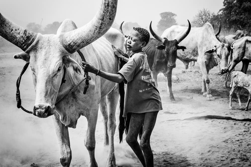 Mundari cattle camp - South Sudan by Joxe Inazio Kuesta Garmendia — canvas wall art