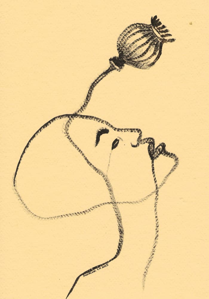 Serene Poppy Gaze by Santhosh ch — canvas wall art