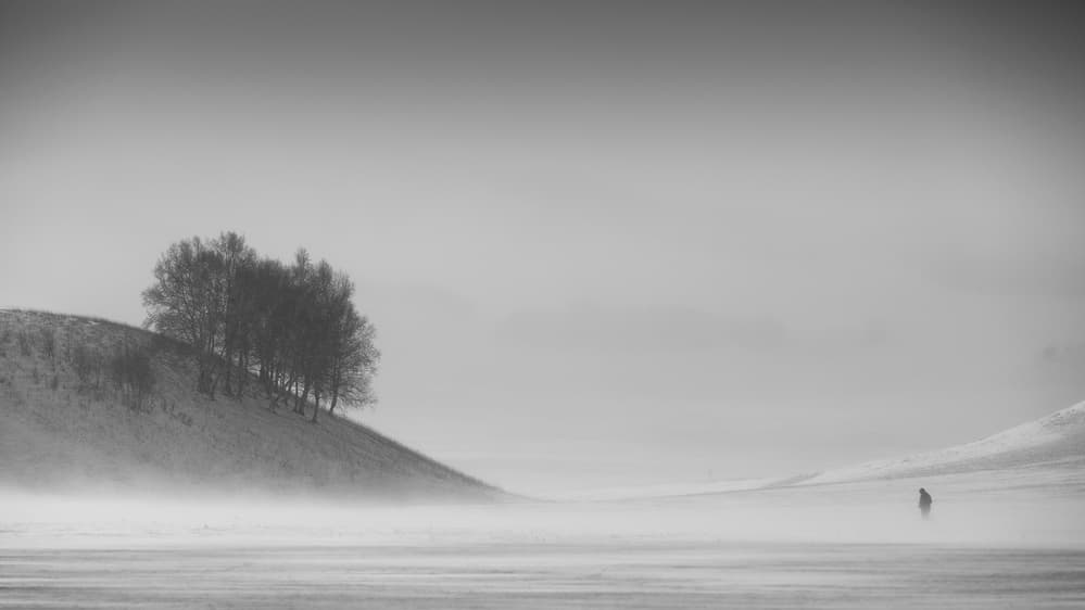 Lone Figure In Winter Mist by Bingo Z — canvas wall art