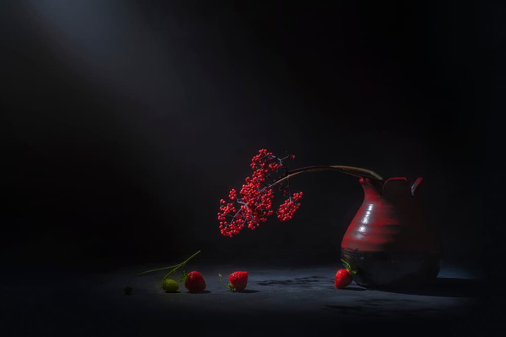 Moody Red Berries by Lydia Jacobs — canvas wall art