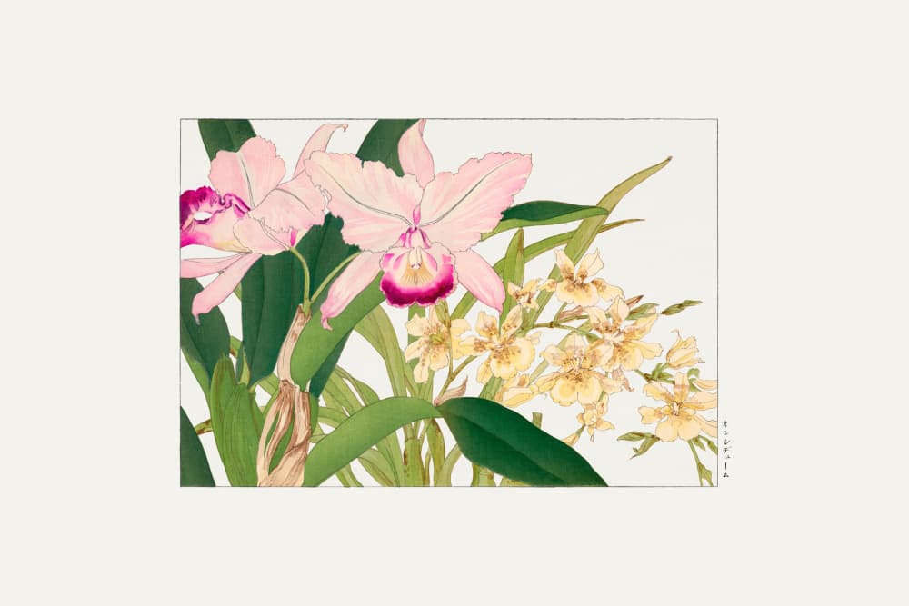 Oncidium Woodblock Painting by Tanigami Konan — canvas wall art