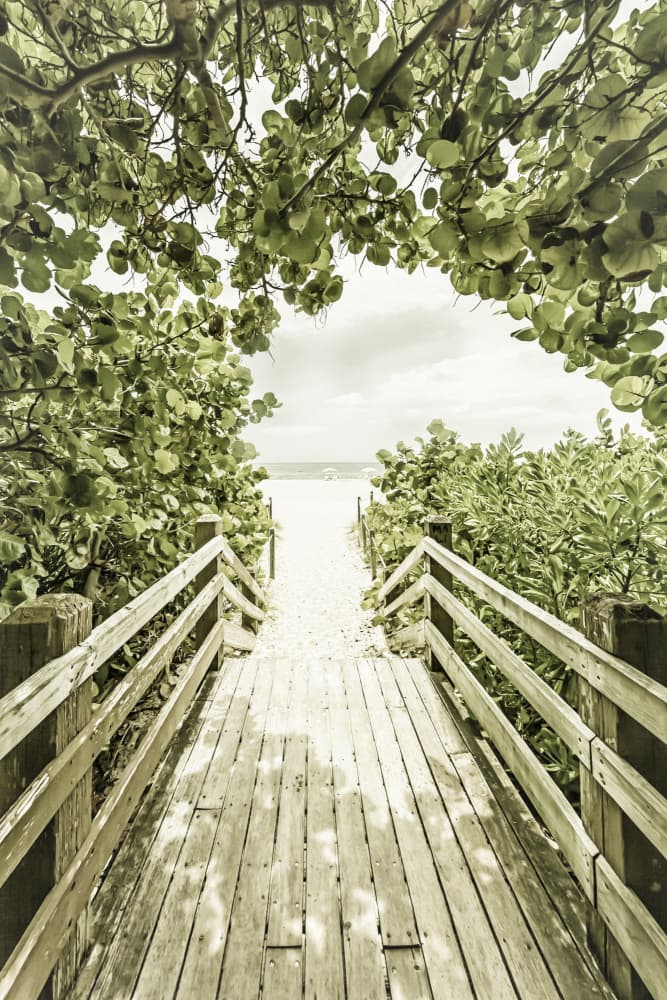 Tropical Beach Path by Melanie Viola — canvas wall art