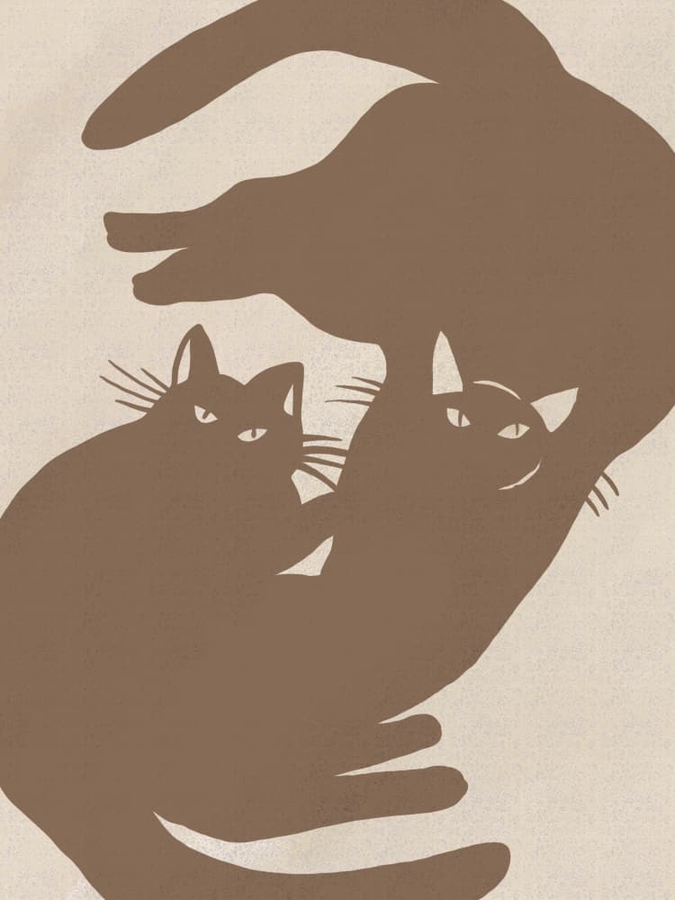 Playful Cats Caring Hands by Little Dean — canvas wall art