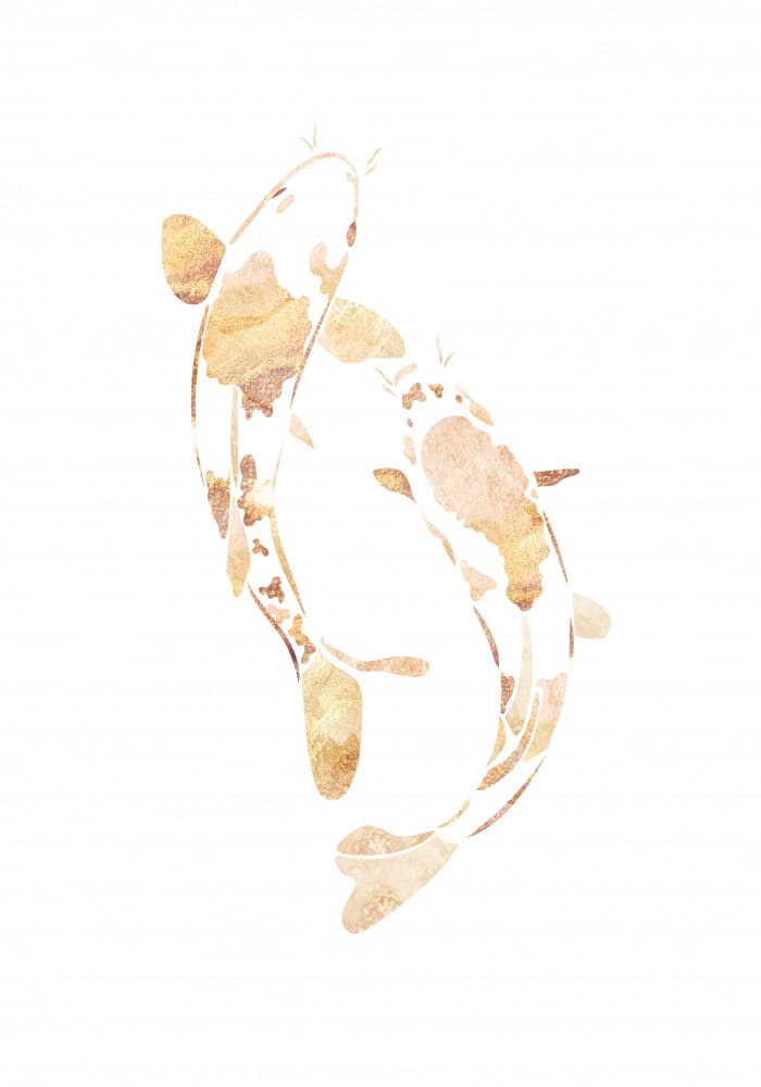 Golden Koi Pair by Sarah Manovski — canvas wall art