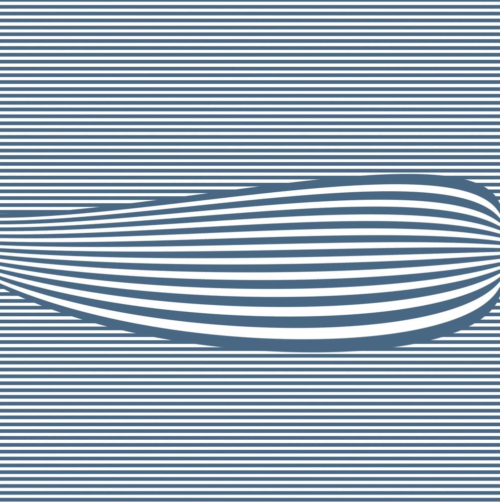 Optical Line Illusion by Carlos Perez Del Moro — canvas wall art