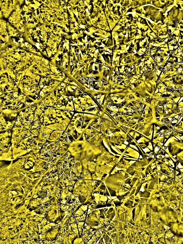 Abstract Golden Thicket by Santhosh ch — canvas wall art