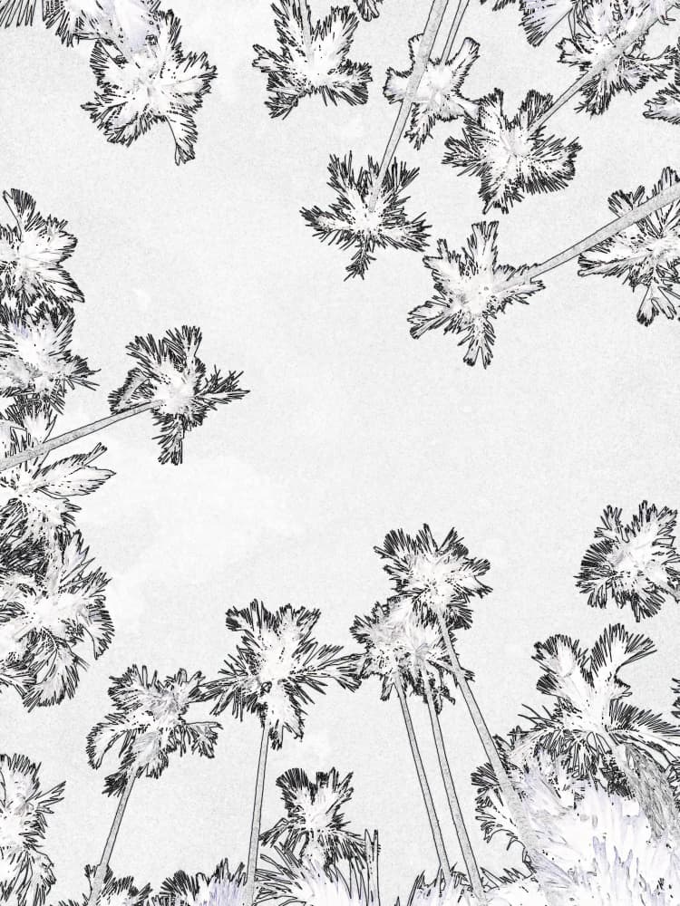 Upward Tropical Palms by Santhosh ch — canvas wall art