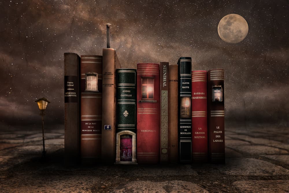 Book City Under Moonlight by Muriel Vekemans — canvas wall art