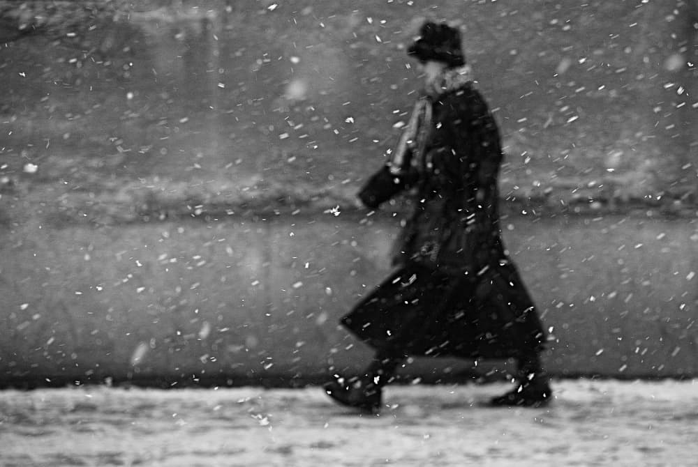 Solitary Winter Walk by Nicoleta Gabor — canvas wall art