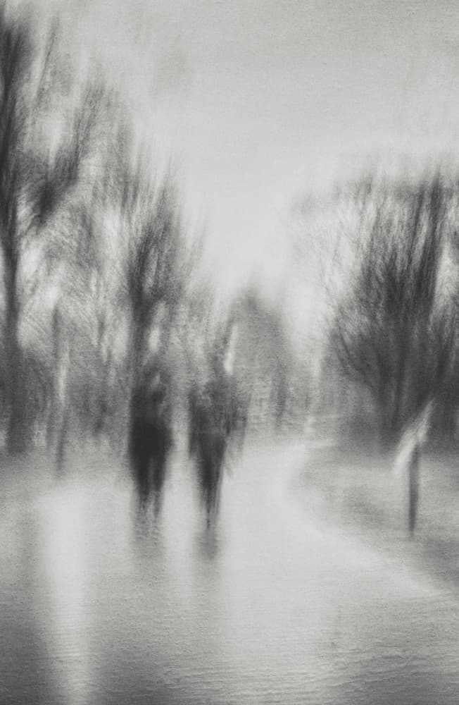 Dreamlike Park Stroll by Molly Fu APA — canvas wall art