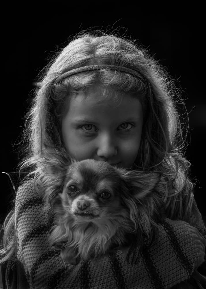 Girl And Her Chihuahua by Dennis Zhang — canvas wall art