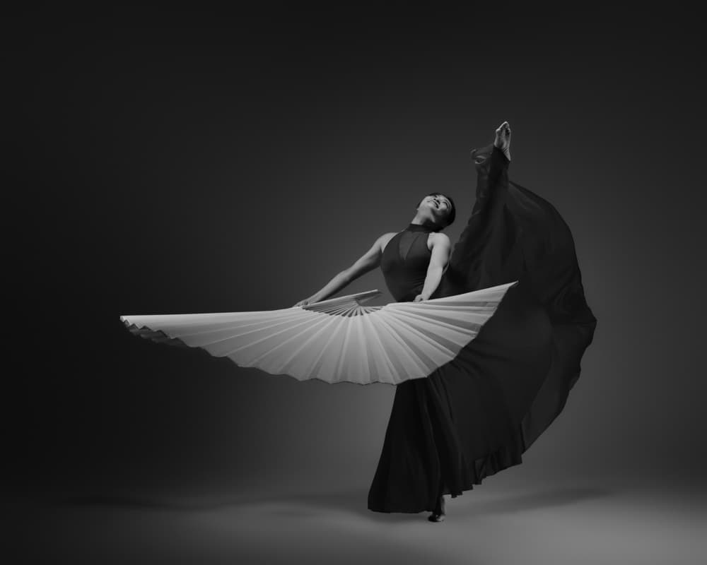 Graceful Fan Dance by Rob Li — canvas wall art