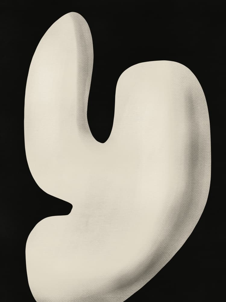 Elegant Organic Form by Little Dean — canvas wall art