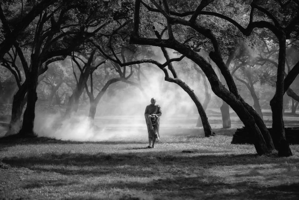 Monk In The Mist by ADIREK M — canvas wall art