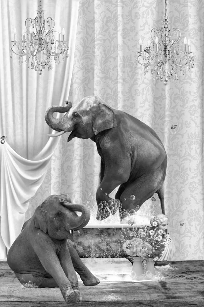 Whimsical Elephant Bath by Sue Skellern — canvas wall art