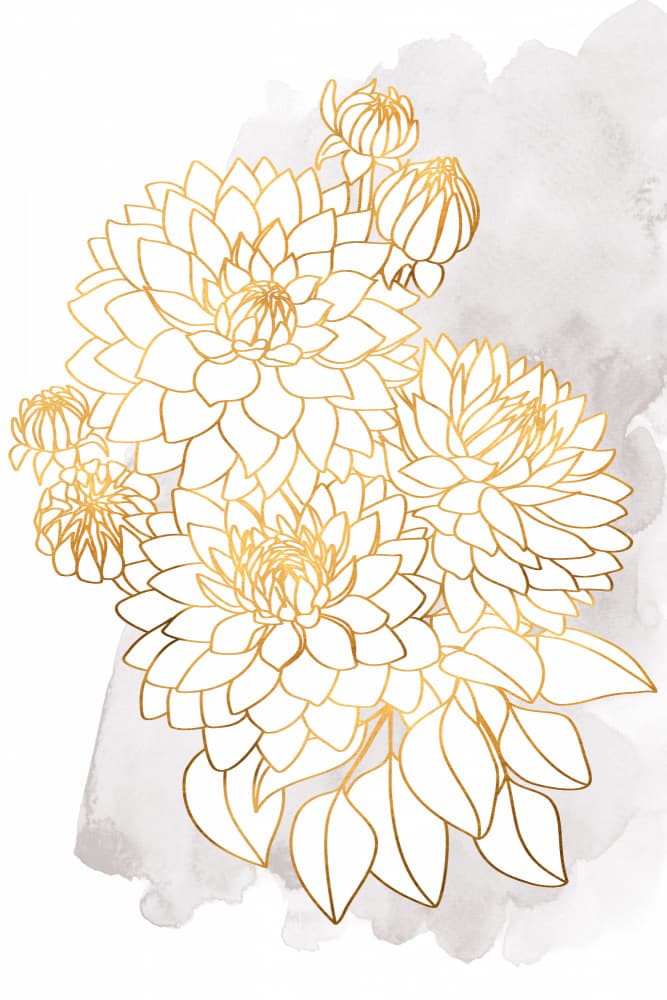 Elegant Gold Dahlias by Rosana Laiz Blursbyai — canvas wall art