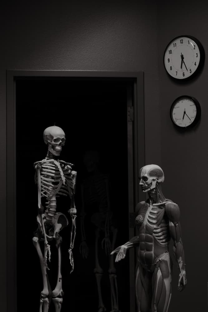 Anatomical Study Display by Yi Liu — canvas wall art