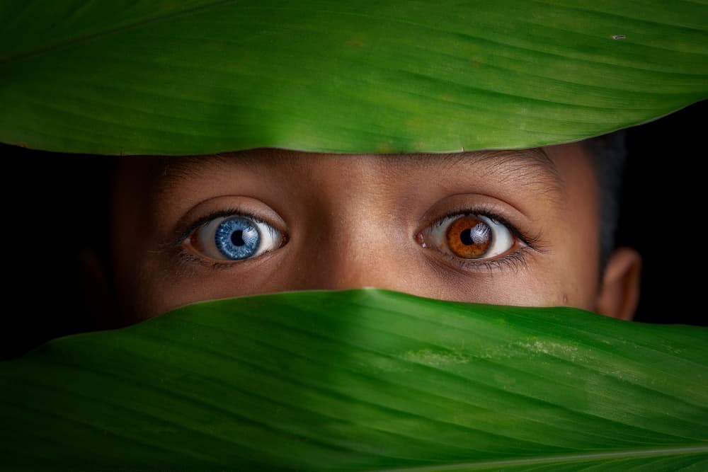 Different Colored Child Eyes by octavandy — canvas wall art