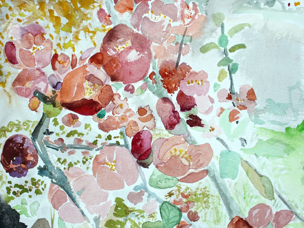 Pink Spring Blossoms by Eva Galonska — canvas wall art