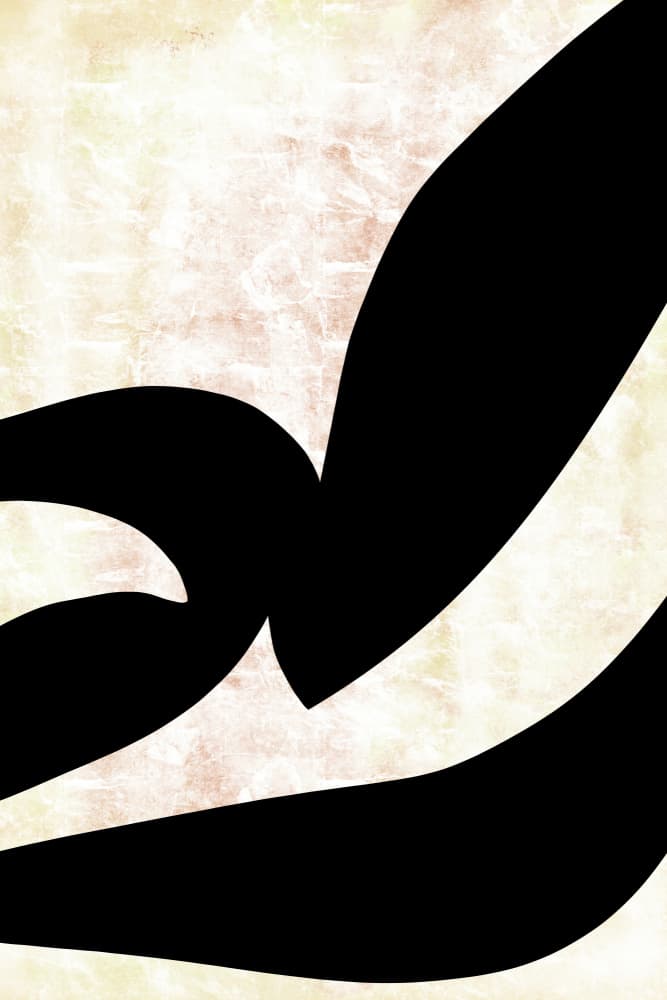 Abstract Calligraphic Curves by cartissi — canvas wall art