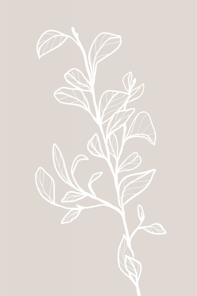 Elegant Botanical Line Art by Rosana Laiz Blursbyai — canvas wall art