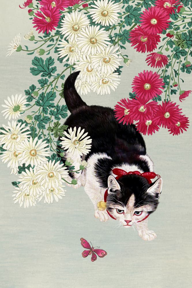 Curious Kitten Butterfly by Marja van den Hurk — canvas wall art
