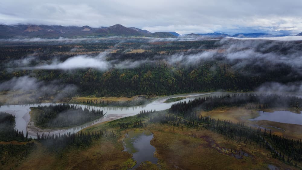 Misty Forest River by Johnny Zhang — canvas wall art