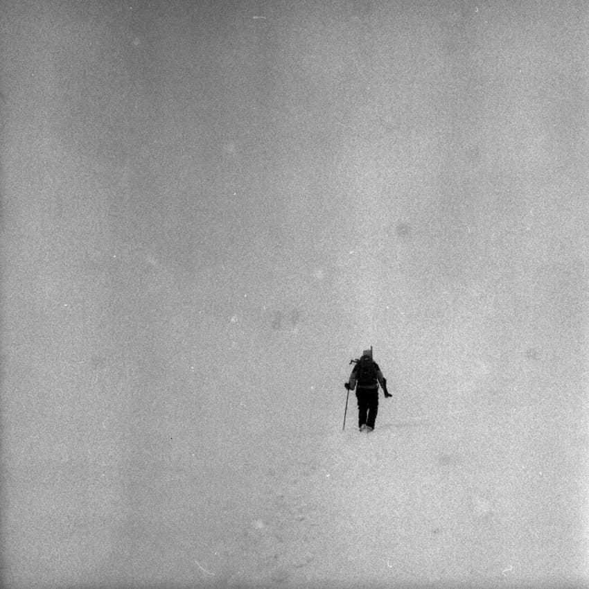 Solitary Winter Wanderer by Cristian Flueraru — canvas wall art