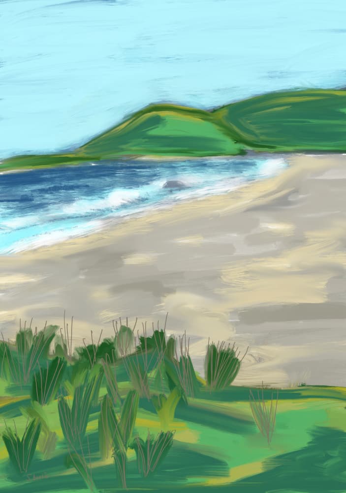 Peaceful Ocean Scene by Sharyn Bursic — canvas wall art